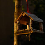 Vogelhäuschen im privaten Garten