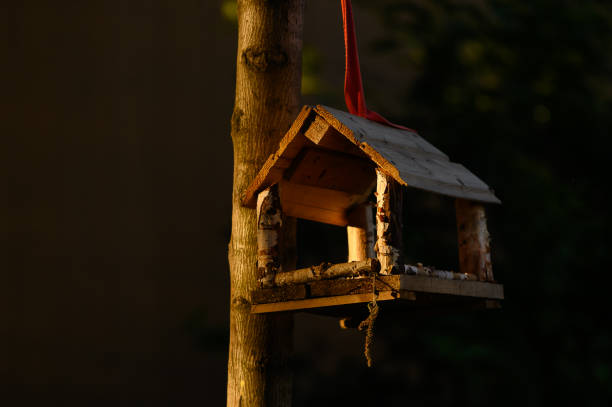 Vogelhäuschen im privaten Garten